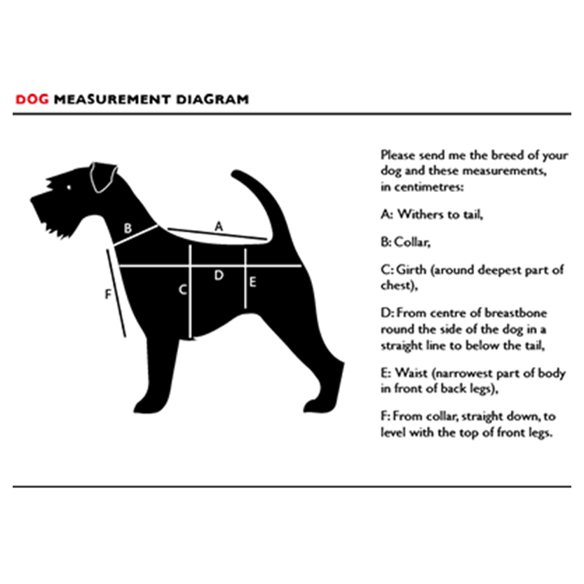 Funki Findz | Dog Jackets | Dog Coat | Reflective Pet Harness