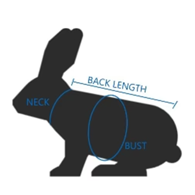 Funki Findz | Pet Harnesses | Small Pet Leash Vests | Rabbit Cat