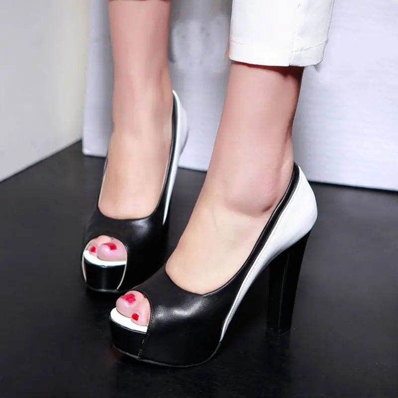 Funki Findz | Shoes | Women's Formal 2 Toned Block Heel Shoes