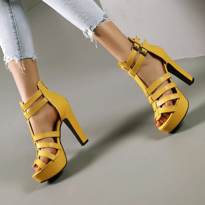 Funki Findz | Shoes | Women's Platform Gladiator Stilettos
