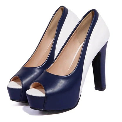 Funki Findz | Shoes | Women's Formal 2 Toned Block Heel Shoes