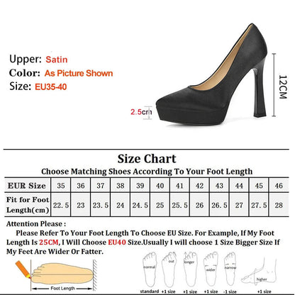 Funki Findz | Shoes | Women's Elegant Satin High Heel Pumps