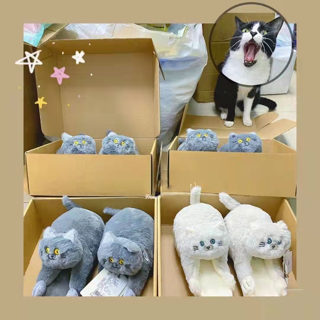 Funki Findz | Shoes | Women's Soft Cat Hug Slippers