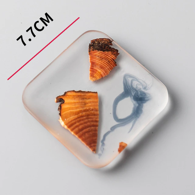 Funki Findz | Coasters | Pine Wood Resin Drink Coasters 6 Pcs