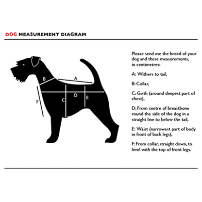 Funki Findz | Dog Jackets | Dog Coat | Reflective Pet Harness