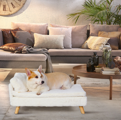 Funki Findz | Pet Beds | Luxury Dog Cat Raised Chaise Lounge