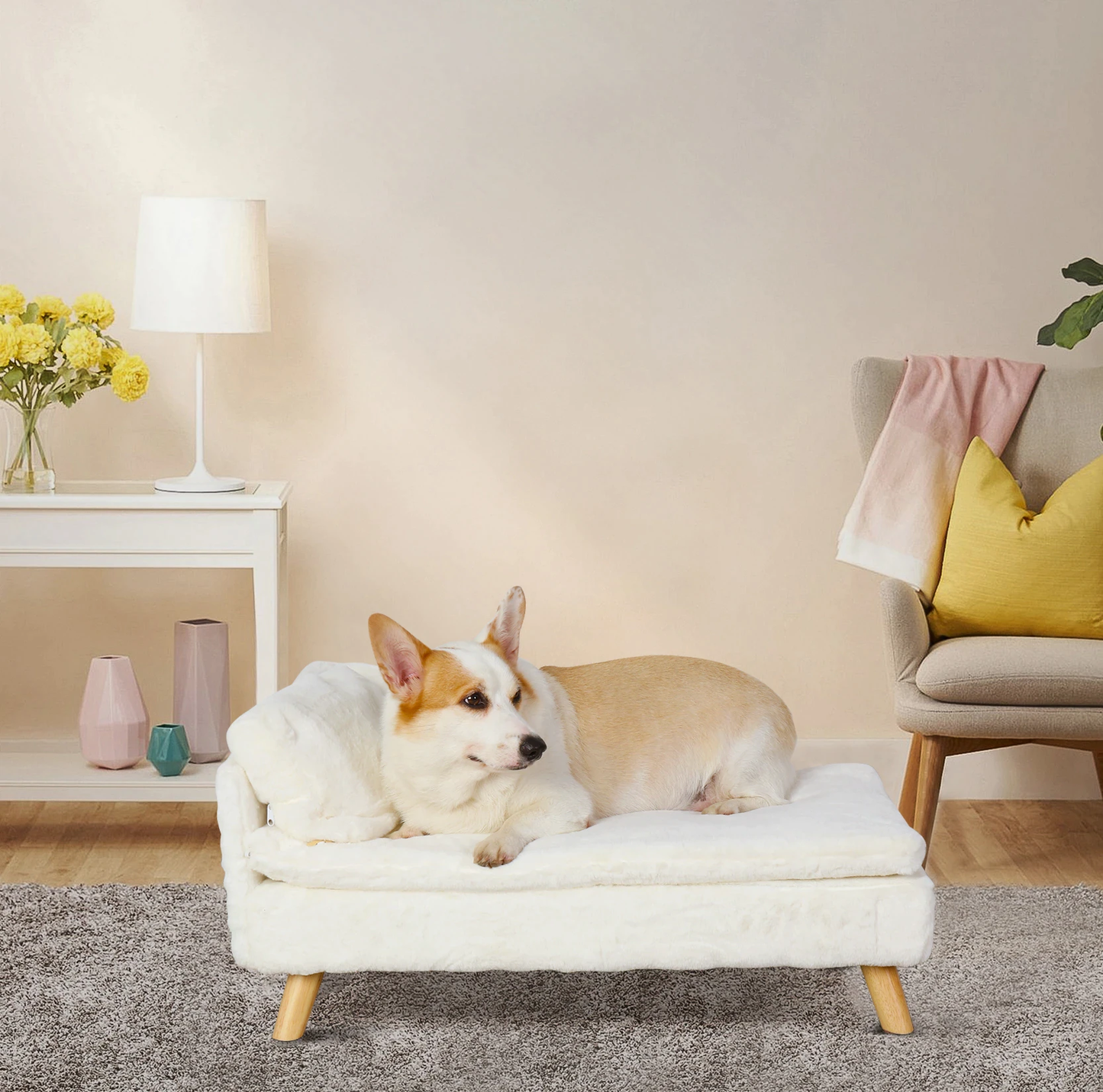 Funki Findz | Pet Beds | Luxury Dog Cat Raised Chaise Lounge