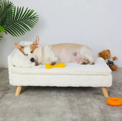 Funki Findz | Pet Beds | Luxury Dog Cat Raised Chaise Lounge