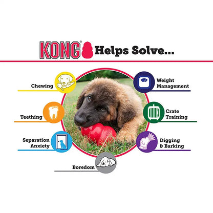 Funki Findz | Pet Chew Toys | KONG Dog Treat  Chew Toy