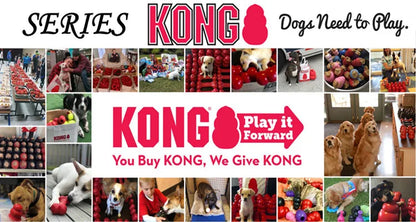 Funki Findz | Pet Chew Toys | KONG Dog Treat  Chew Toy