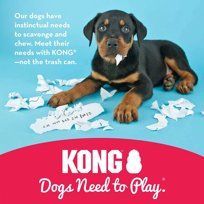 Funki Findz | Pet Chew Toys | KONG Dog Treat  Chew Toy