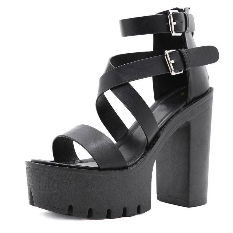 Funki Findz | Shoes | Women's Sexy High Chunky Heel Platforms