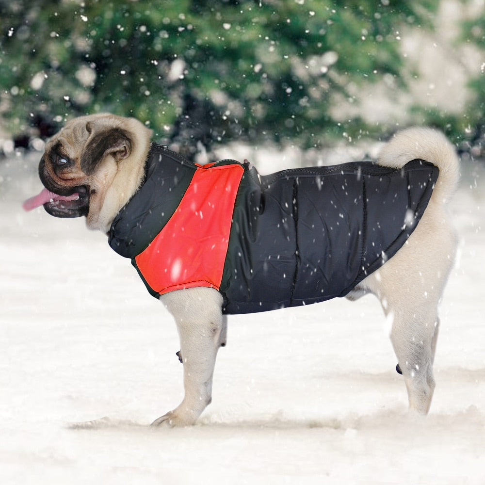 Funki Findz | Dog Jackets | Warm Padded Waterproof Dog Vests