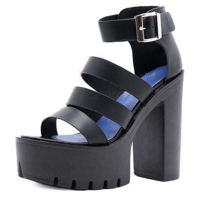 Funki Findz | Shoes | Women's Sexy High Chunky Heel Platforms