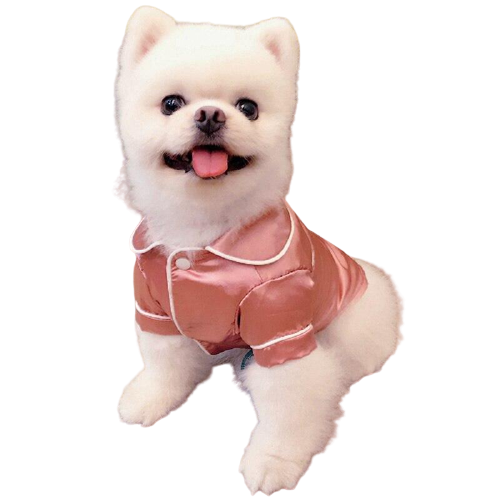 Funki Findz | Dog Pajamas | Silky Dog Pajamas | Pet Fashion