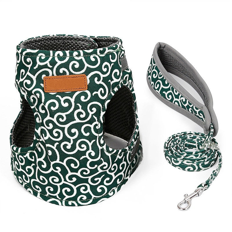 Funki Findz | Pet Harnesses | Cat Harness Walking Lead Vest Set