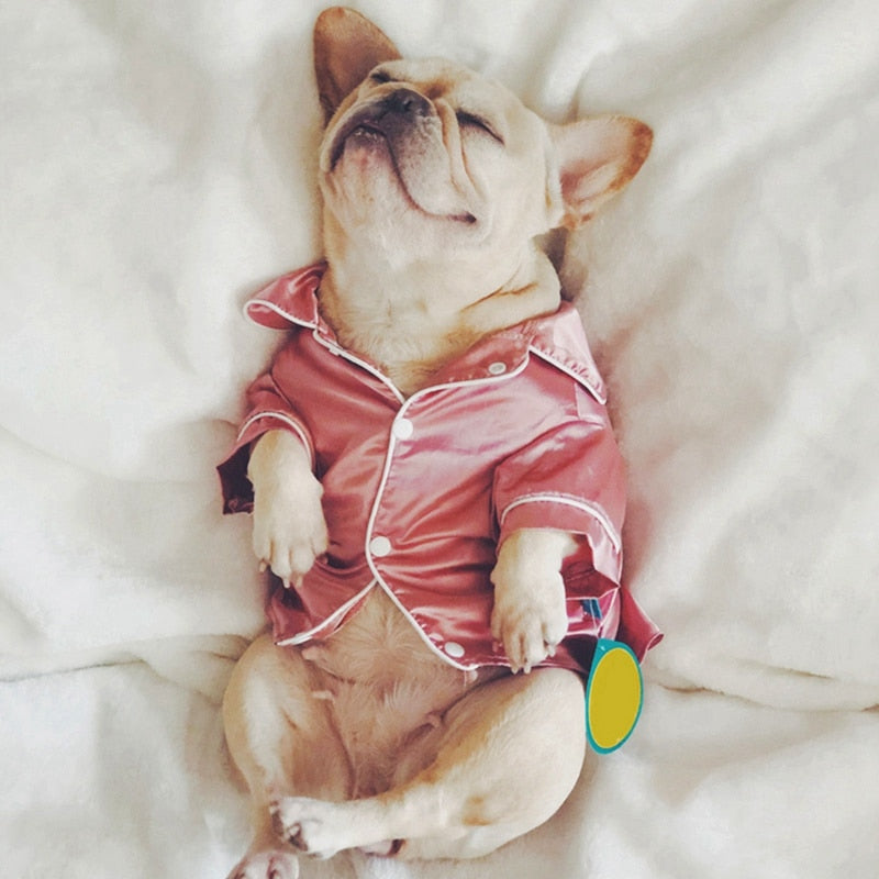 Funki Findz | Dog Pajamas | Silky Dog Pajamas | Pet Fashion