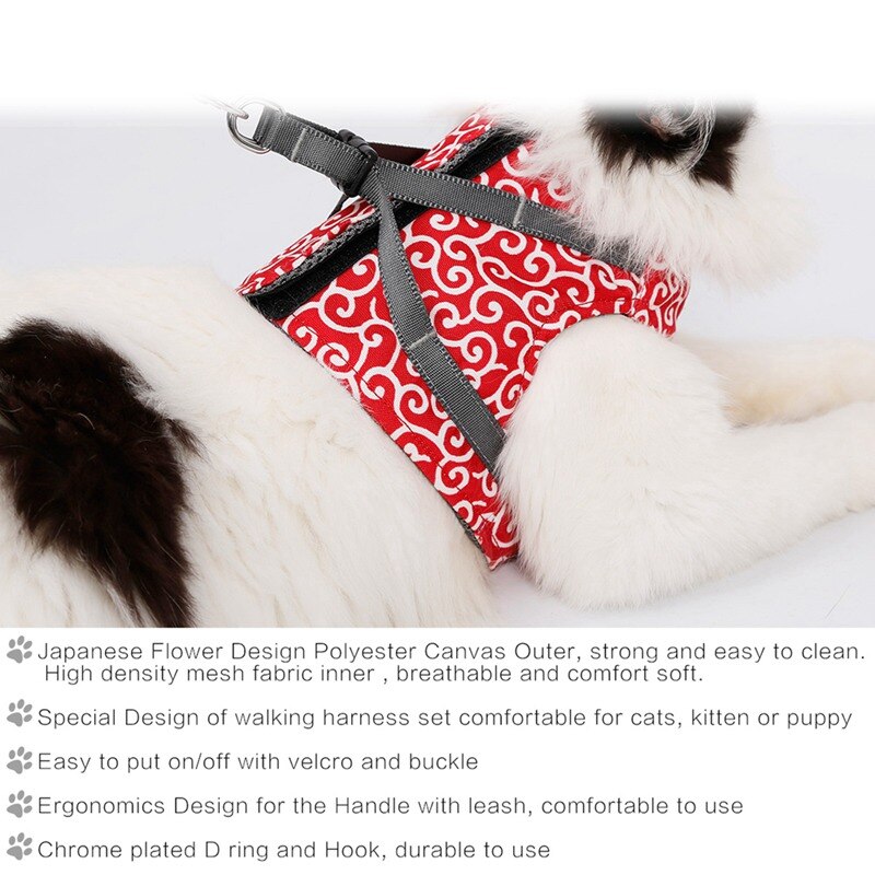 Funki Findz | Pet Harnesses | Cat Harness Walking Lead Vest Set