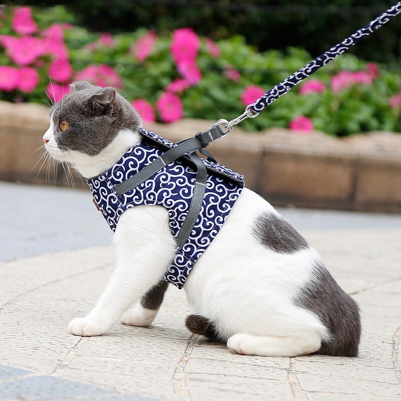 Funki Findz | Pet Harnesses | Cat Harness Walking Lead Vest Set