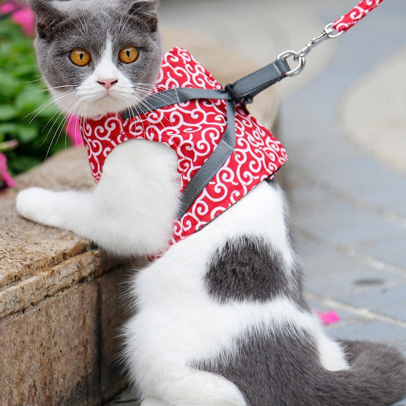 Funki Findz | Pet Harnesses | Cat Harness Walking Lead Vest Set