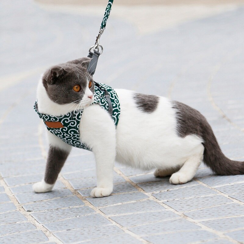 Funki Findz | Pet Harnesses | Cat Harness Walking Lead Vest Set