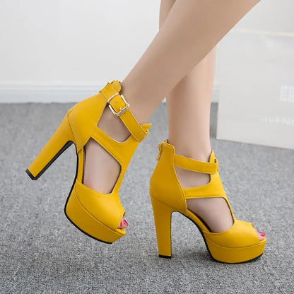 Funki Findz | Shoes | Women's T-Strap High Platform Sandals