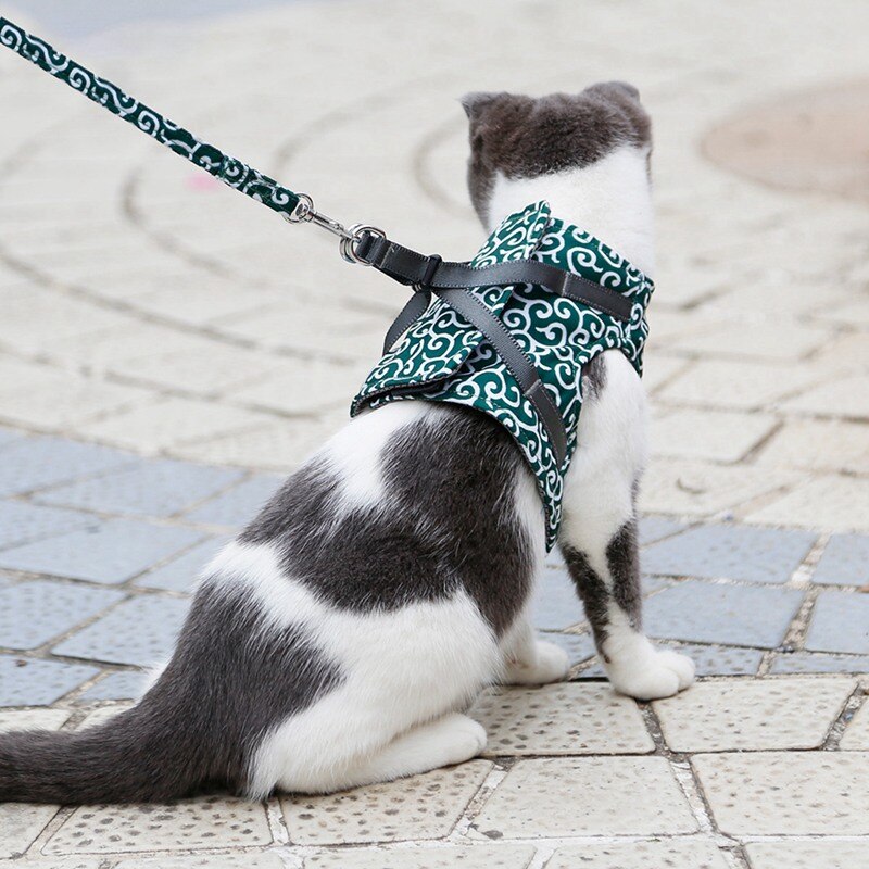Funki Findz | Pet Harnesses | Cat Harness Walking Lead Vest Set