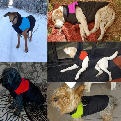 Funki Findz | Dog Jackets | Winter Warm Dog Coat | Padded Vest