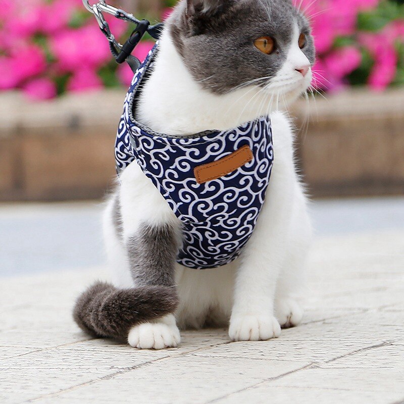 Funki Findz | Pet Harnesses | Cat Harness Walking Lead Vest Set