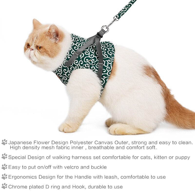 Funki Findz | Pet Harnesses | Cat Harness Walking Lead Vest Set