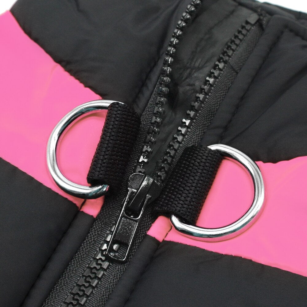 Funki Findz | Dog Jackets | Warm Padded Waterproof Dog Vests