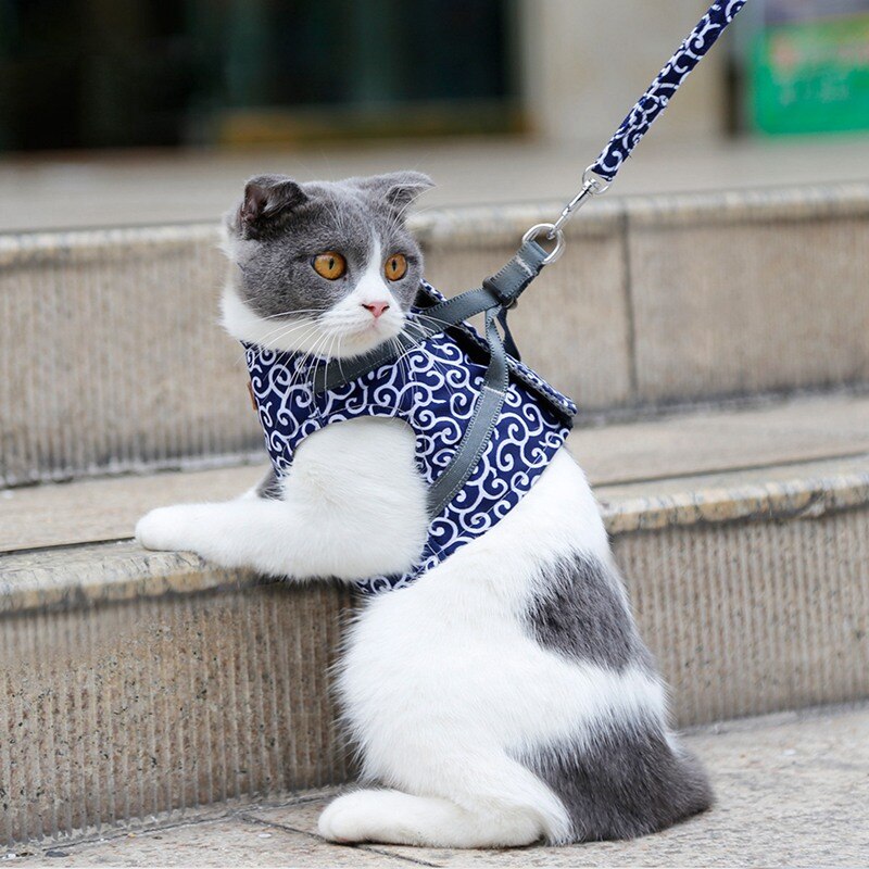 Funki Findz | Pet Harnesses | Cat Harness Walking Lead Vest Set
