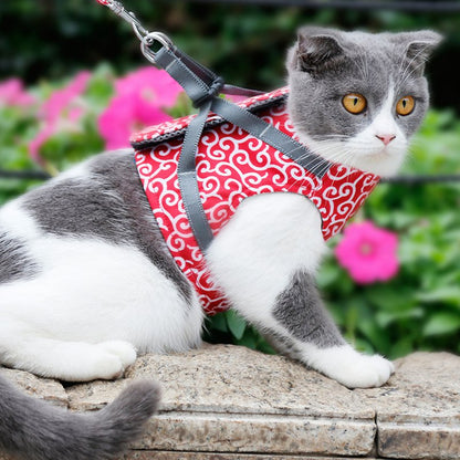 Funki Findz | Pet Harnesses | Cat Harness Walking Lead Vest Set