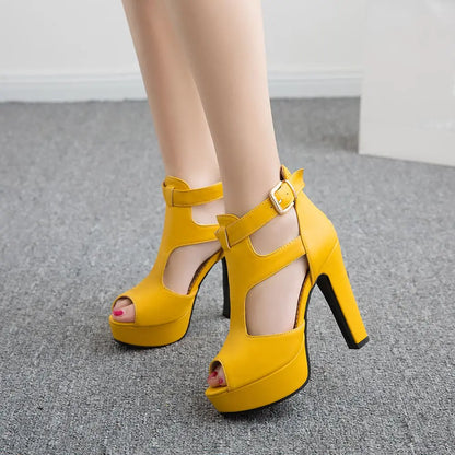 Funki Findz | Shoes | Women's T-Strap High Platform Sandals