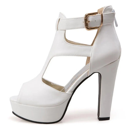 Funki Findz | Shoes | Women's T-Strap High Platform Sandals