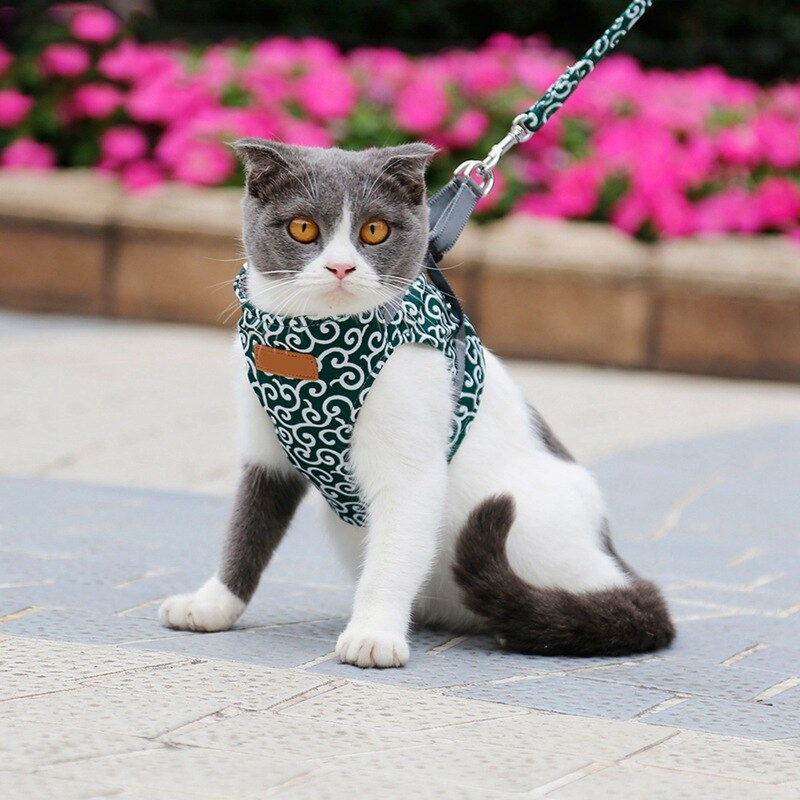 Funki Findz | Pet Harnesses | Cat Harness Walking Lead Vest Set