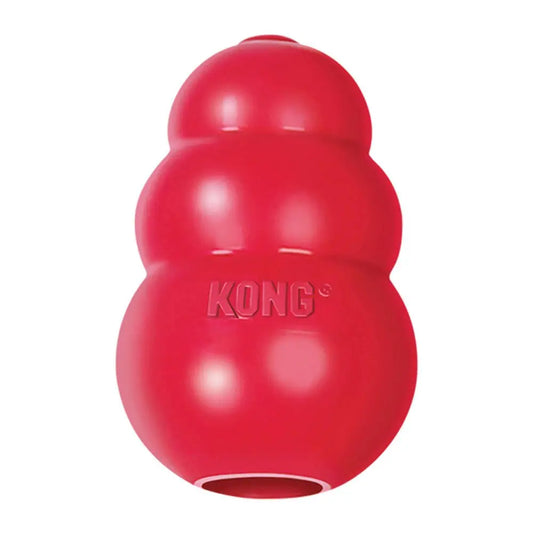 Funki Findz | Pet Chew Toys | KONG Dog Treat  Chew Toy