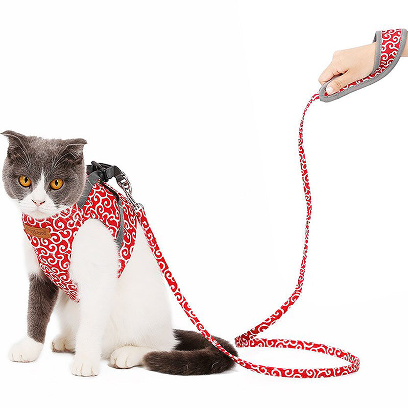 Funki Findz | Pet Harnesses | Cat Harness Walking Lead Vest Set