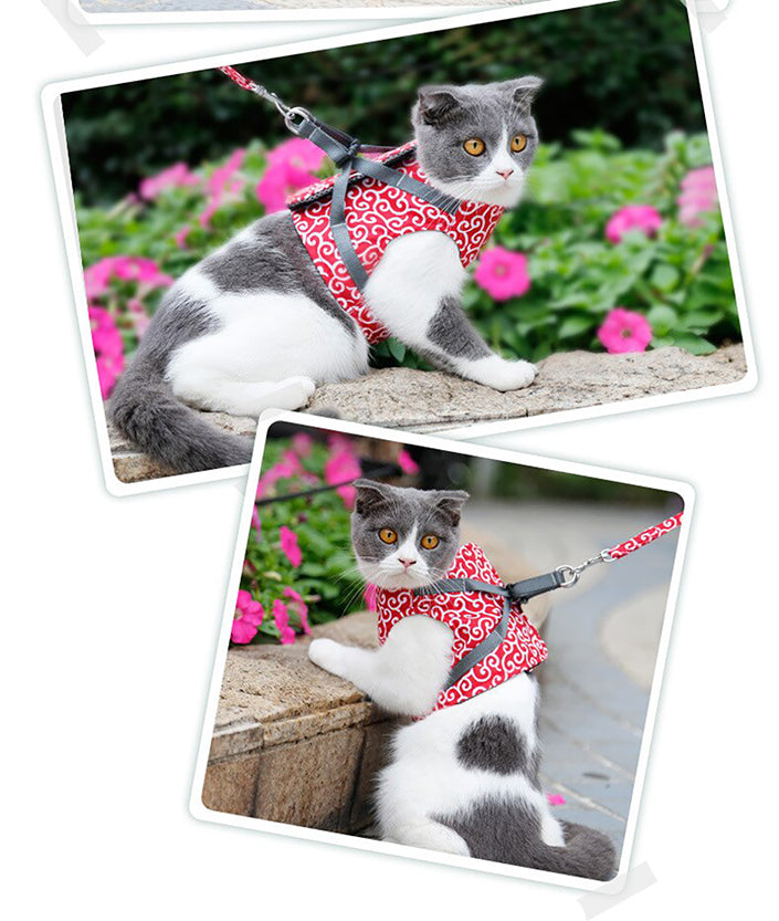 Funki Findz | Pet Harnesses | Cat Harness Walking Lead Vest Set