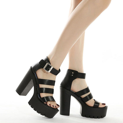 Funki Findz | Shoes | Women's Sexy High Chunky Heel Platforms