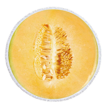Funki Findz | Beach Mats | Fruit Printed Beach Mat Towel Throw