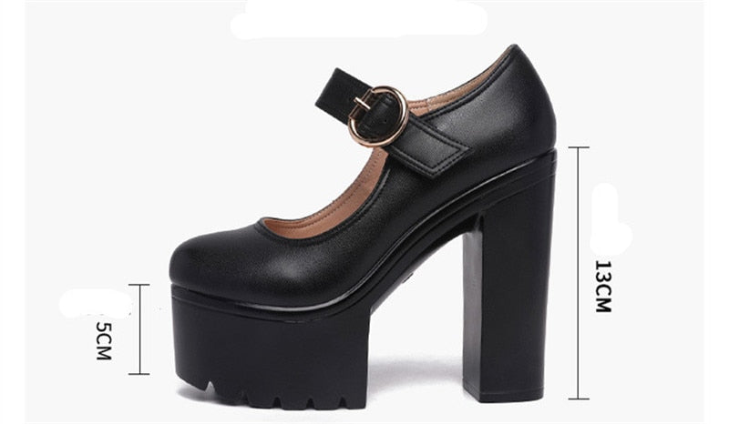 Funki Findz | Shoes | Women's Block Heel Platform Mary Janes
