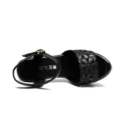 Funki Findz | Shoes | Women's Block Heel Platform Sandals