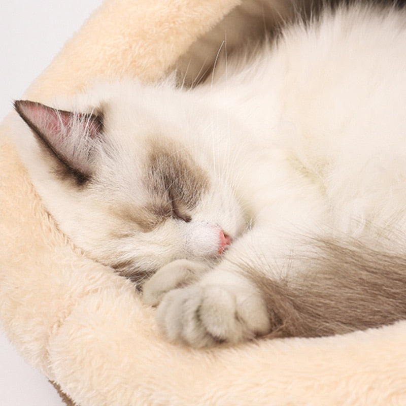 Funki Findz | Pet Beds | Cat Bed | Cat Cave | Warm Kitty House