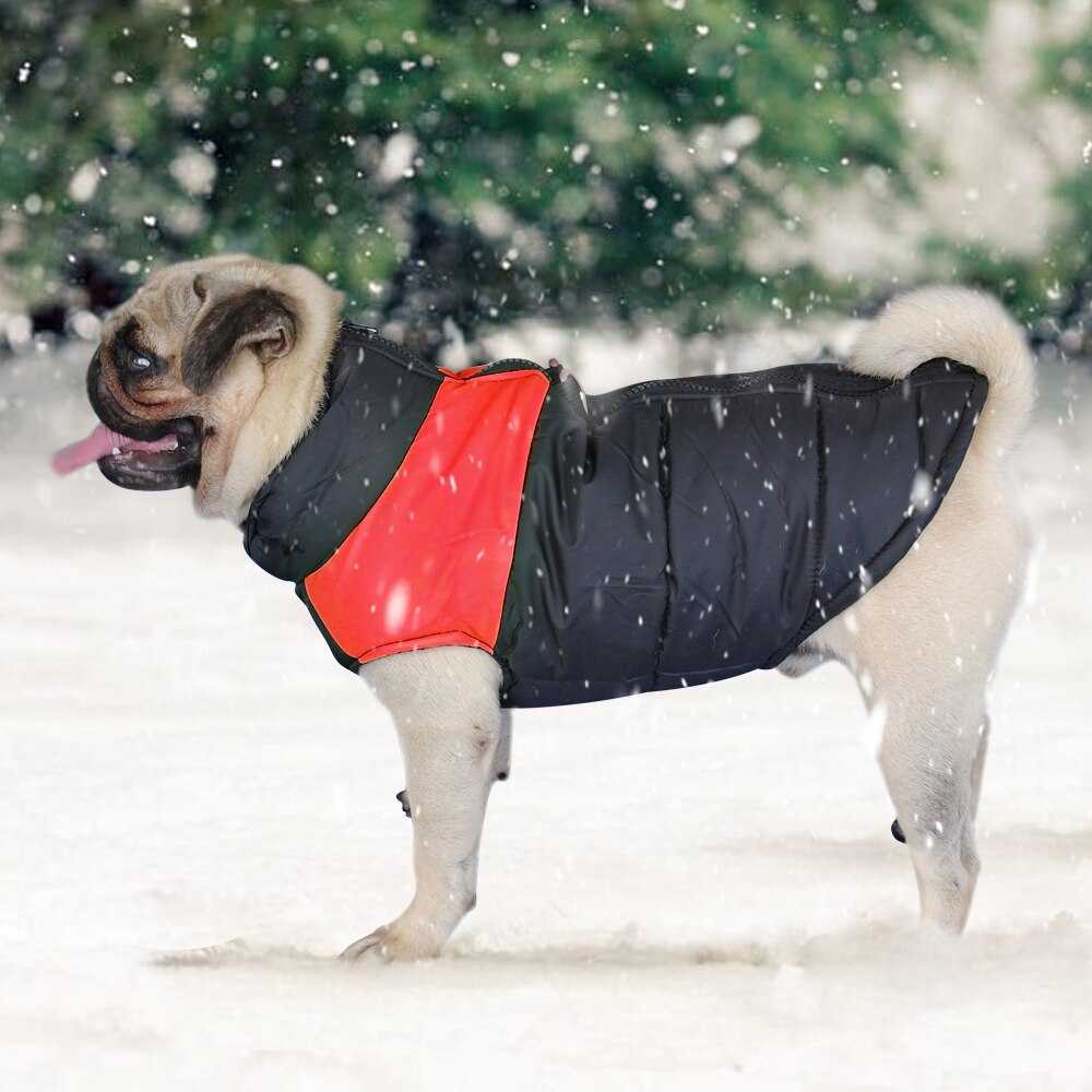 Funki Findz | Dog Jackets | Warm Padded Waterproof Dog Vests