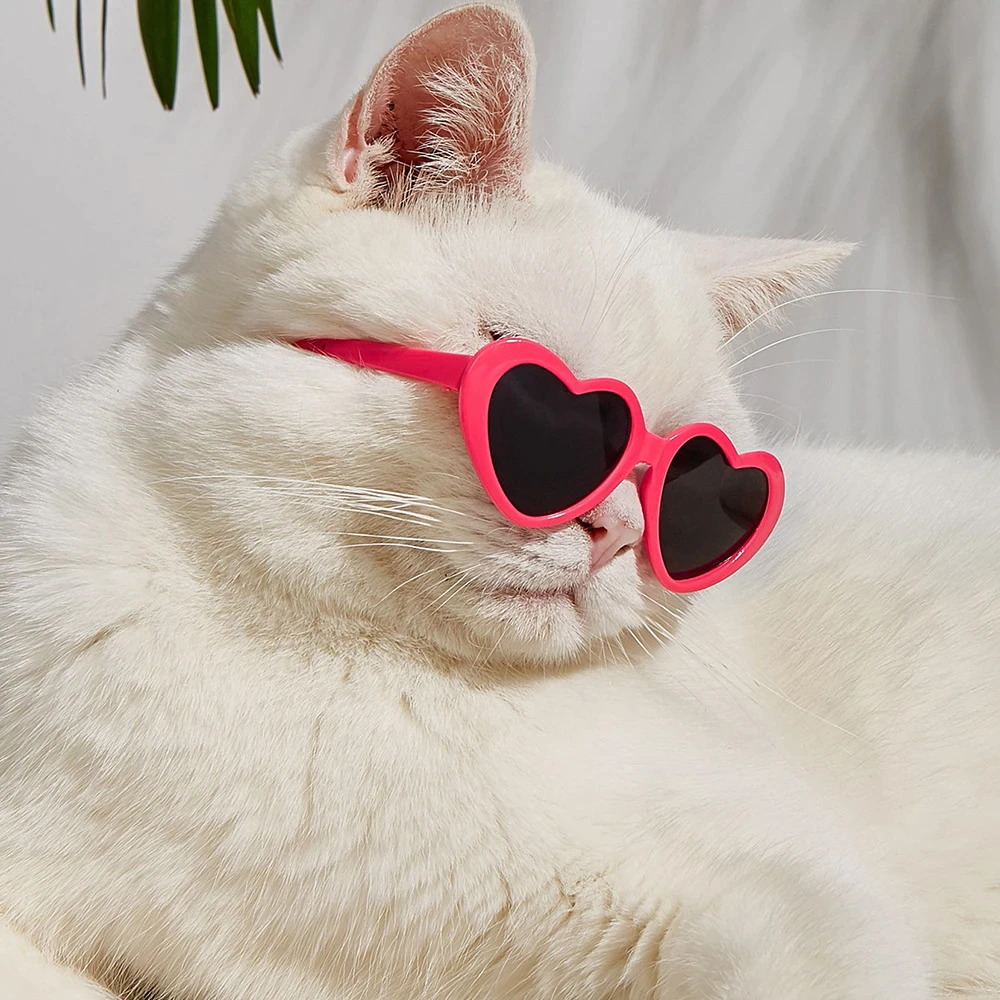 Funki Findz | Pet Sunglasses | Cute Heart Shaped Pet Sunnies