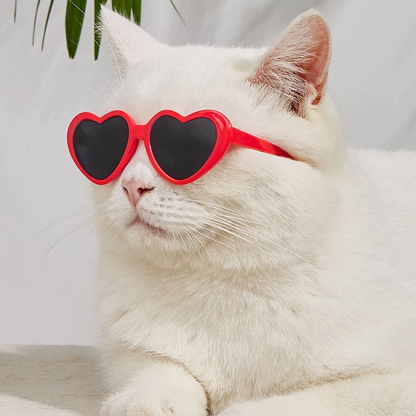 Funki Findz | Pet Sunglasses | Cute Heart Shaped Pet Sunnies