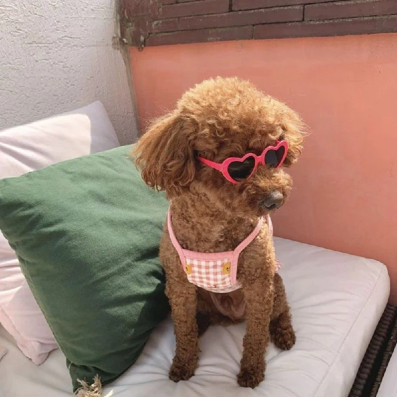 Funki Findz | Pet Sunglasses | Cute Heart Shaped Pet Sunnies