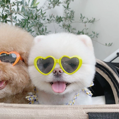Funki Findz | Pet Sunglasses | Cute Heart Shaped Pet Sunnies