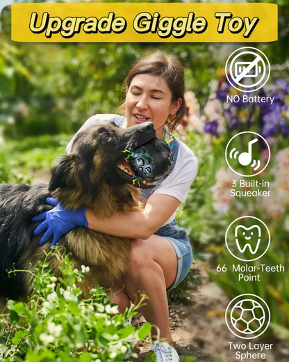 Funki Findz | Pet Chew Toys | Dog Treat Ball Training Aid